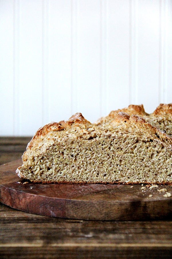 A crumb shot of whole wheat Irish soda bread. 