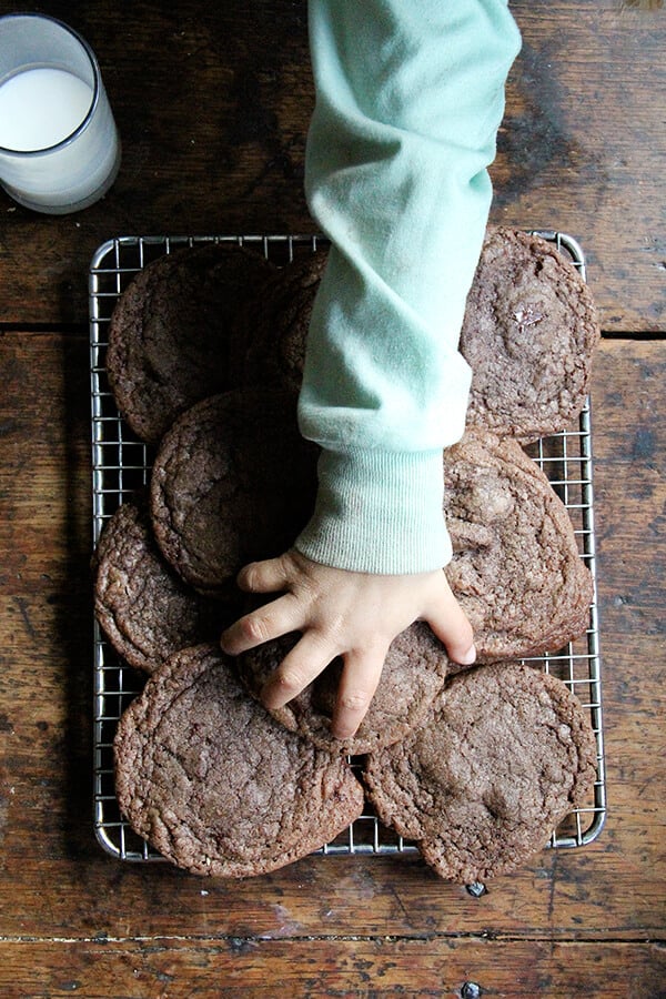 These double chocolate cookies are very delicious. Shaped balls can stay for days in the fridge in a ziplock back or airtight container. // alexandracooks.com