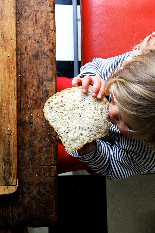 wren eating quinoa-flax bread