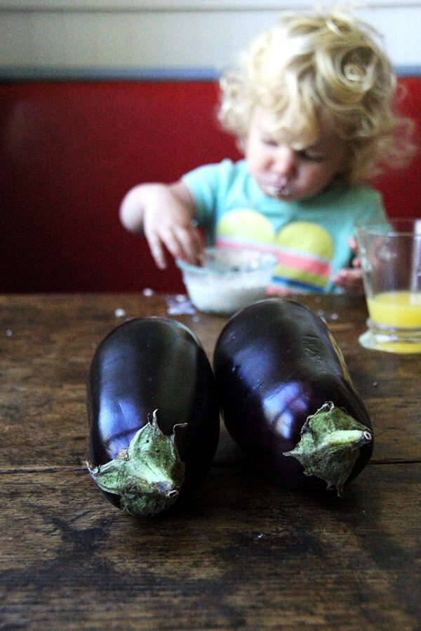 eggplant