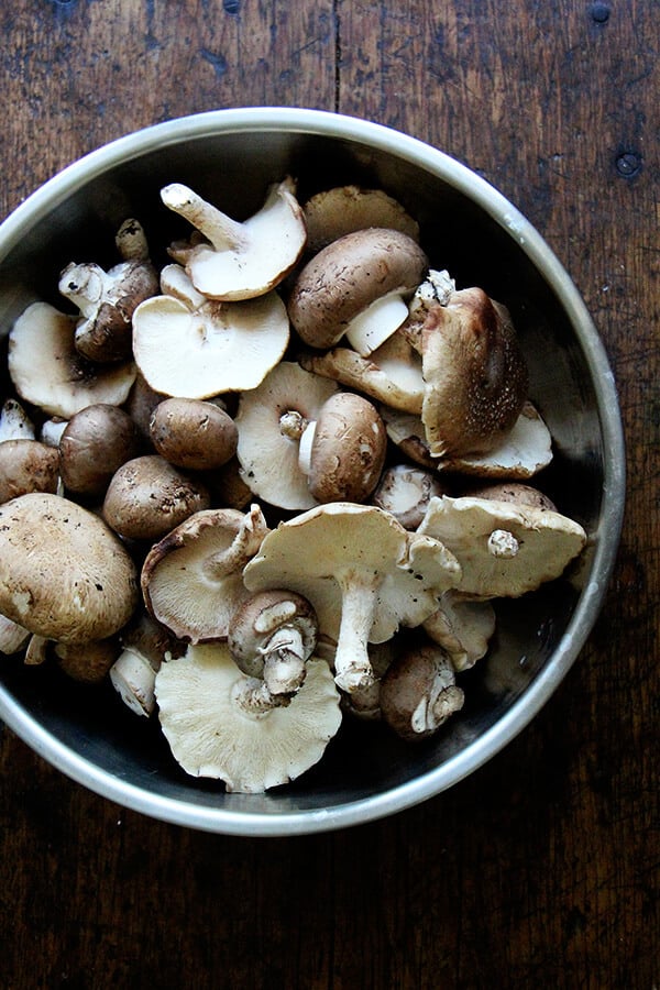 A large bowl of mushrooms: shiitake and cremini.