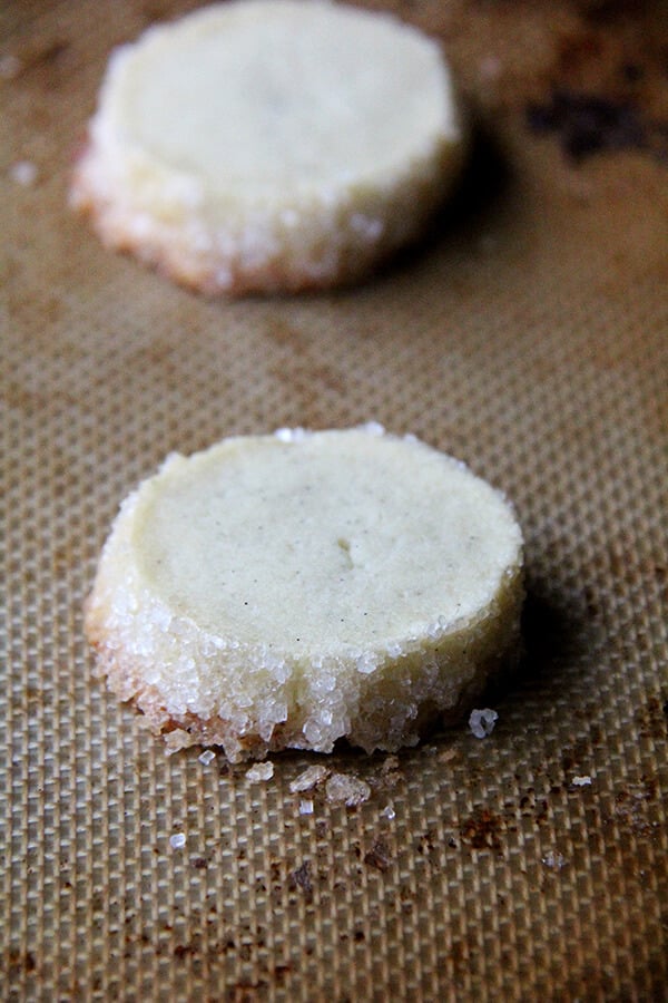 Close up shot of a just-baked vanilla bean sable cookie on a sheet pan.