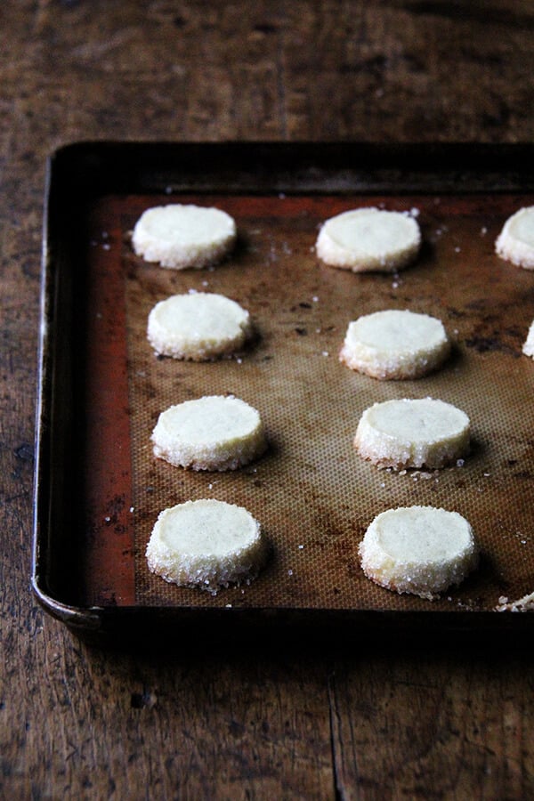 Just-baked vanilla bean sablés on a sheet pan.