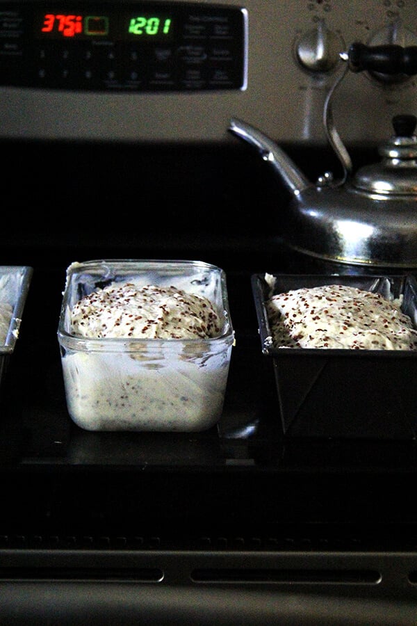 quinoa and flax bread rising