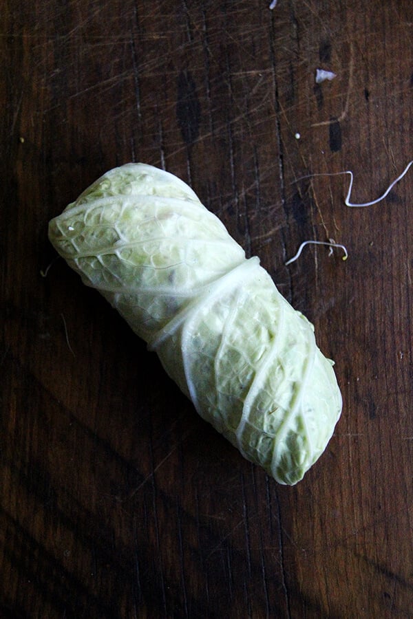 cabbage roll