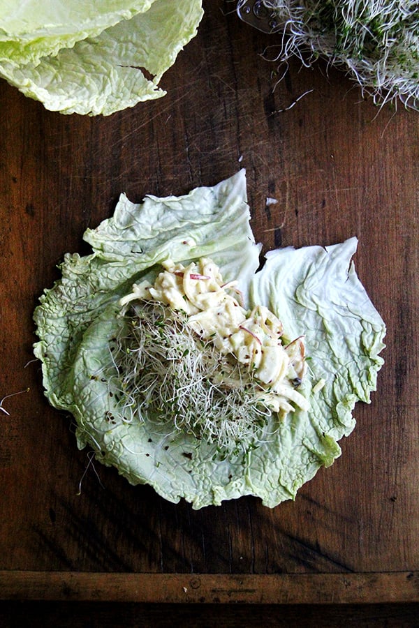 savoy cabbage wrap