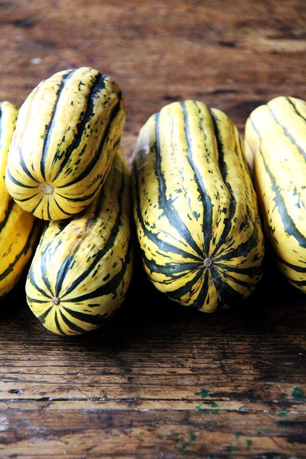 A table piled high with delicata squash.