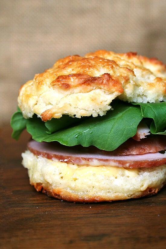 leftover ham and arugula sandwich on cheddar biscuit with mustard sauce