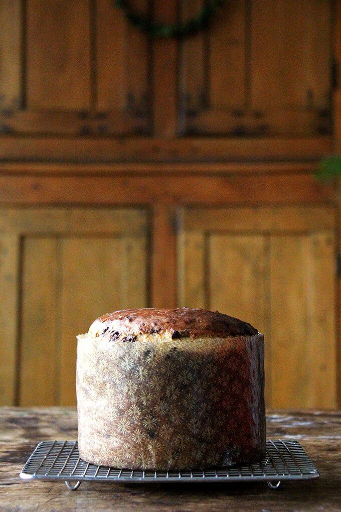 A Chocolate-studded panettone bread freshly baked still in its paper mould, cooling on a rack. 