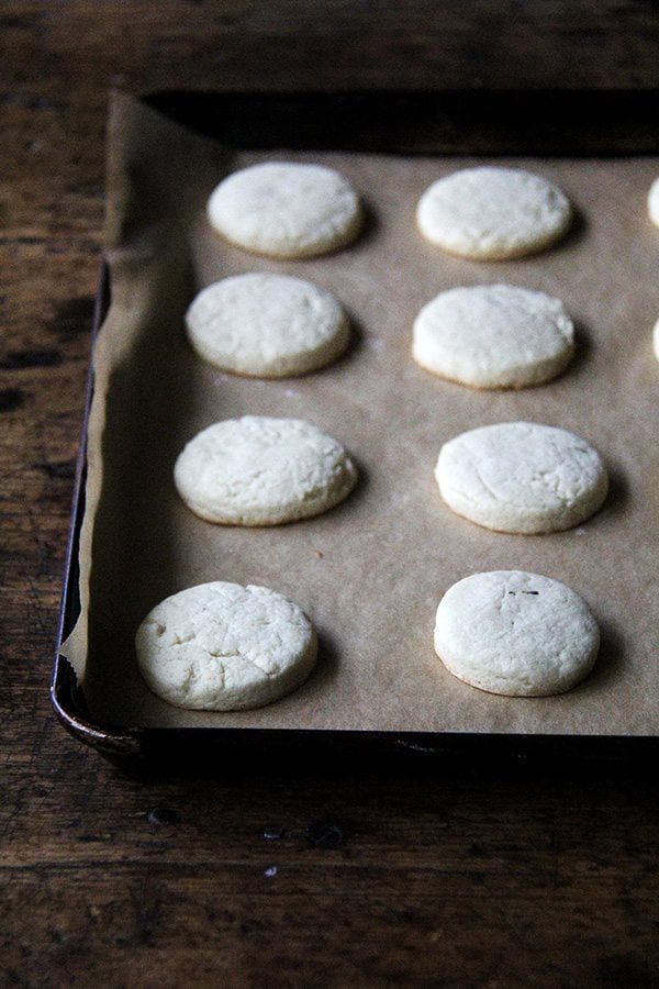 Just-baked cookies classic cream cheese cutout cookies. 