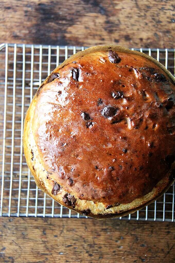 Overhead view of a freshly baked loaf of chocolate-studded panettone.