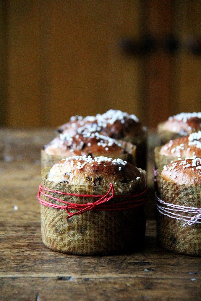 6 mini chocolate studded panettone breads in their paper moulds wrapped with baker's twine.