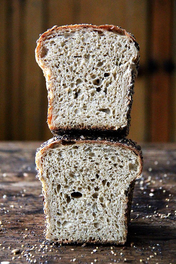 Honey Wheat Sandwich Bread Recipe (Kid-Friendly!) - Go Dairy Free