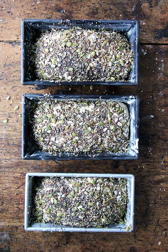 This is a basic sandwich bread, coated in seeds or not—I love the seeds; my children do not, so I make it both ways, and everyone is happy. There are three recipes - I’ve been keeping two loaves handy for toast and sandwiches, and slicing and freezing the third to have on hand for later in the week. // alexandracooks.com
