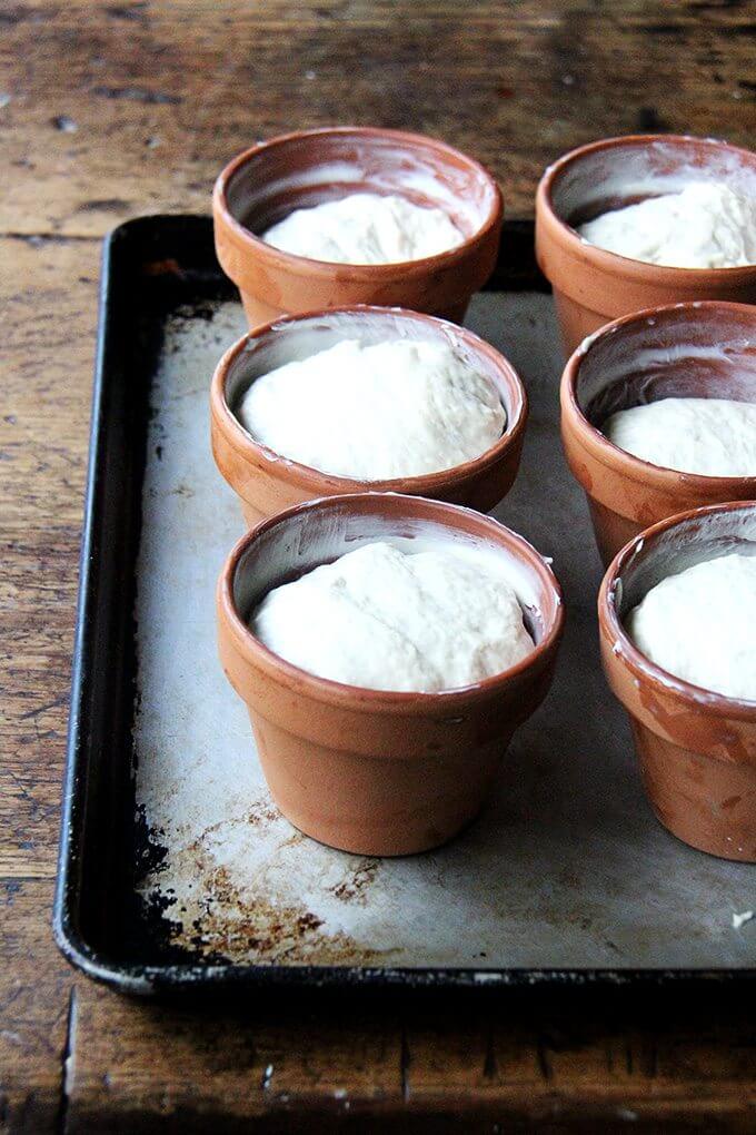 Instructions: How to Make Flower Pot Bread — FarmSteady