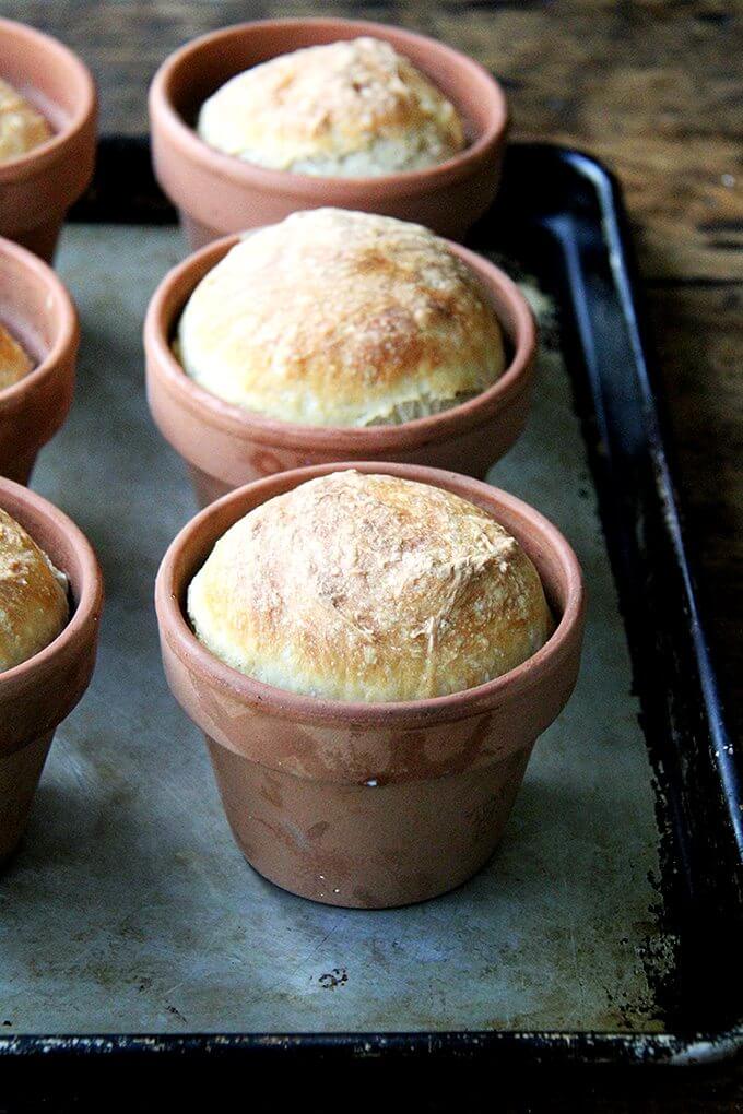 Bread baked in a flowerpot. Brushed with butter, sprinkled with sea salt, does anything say, "I love you Mom!" more than this flower pot bread? // alexandracooks.com