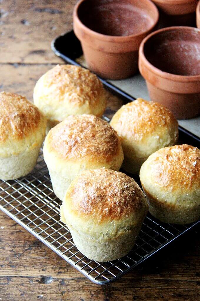 Rustic Flower Pot Bread Loaves - Lavender and Lovage