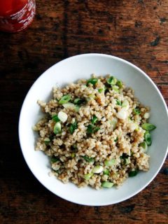 A bowl of perfectly cooked and seasoned Instant Pot brown rice.