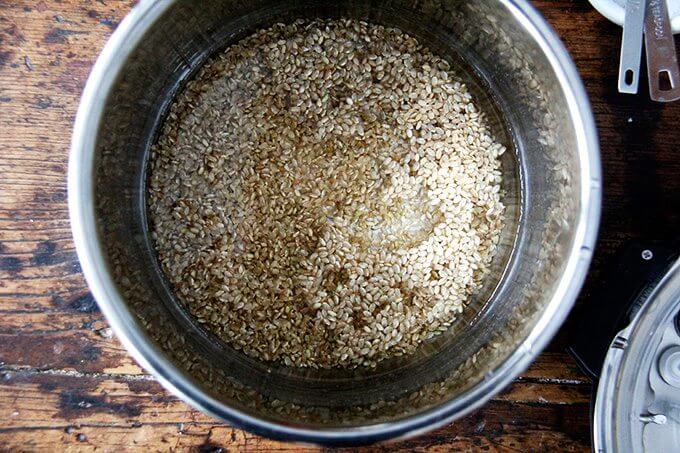 An Instant Pot filled with water, salt and brown rice. 