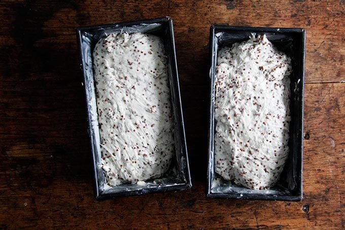 Quinoa-flax dough in loaf pans. 