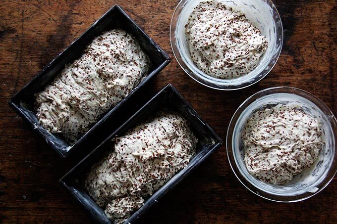 quinoa-flax dough rising in loaf pans and bowls
