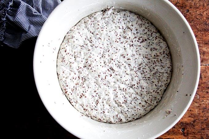 A bowl of quinoa-flax dough, risen. 