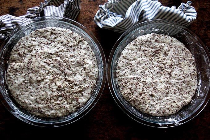 quinoa-flax dough rising in bowls