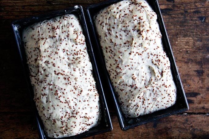 quinoa-flax dough risen in loaf pans.