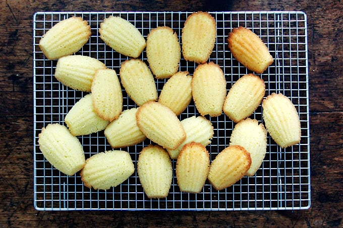 Just-baked lemon madeleines cooling on a rack.