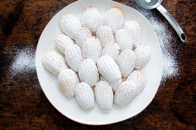 An overhead shot of lemon madeleines dusted with powdered sugar on a white platter.