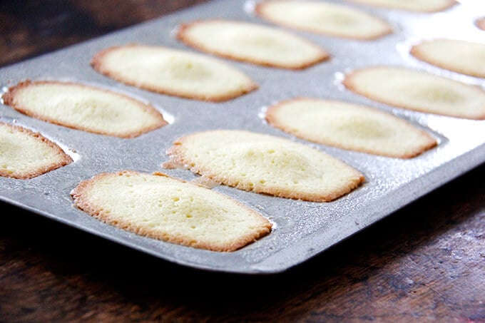 An overhead shot of just-baked madeleines in a madeleine pan.