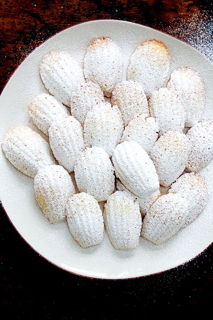 A plate of madeleines dusted with powdered sugar.