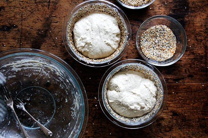 Dough transferred to prepared bowls. 