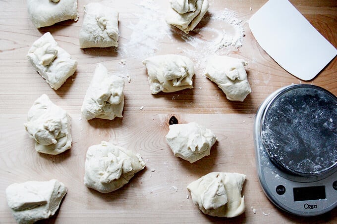 Bagel dough portioned into 12 pieces. 