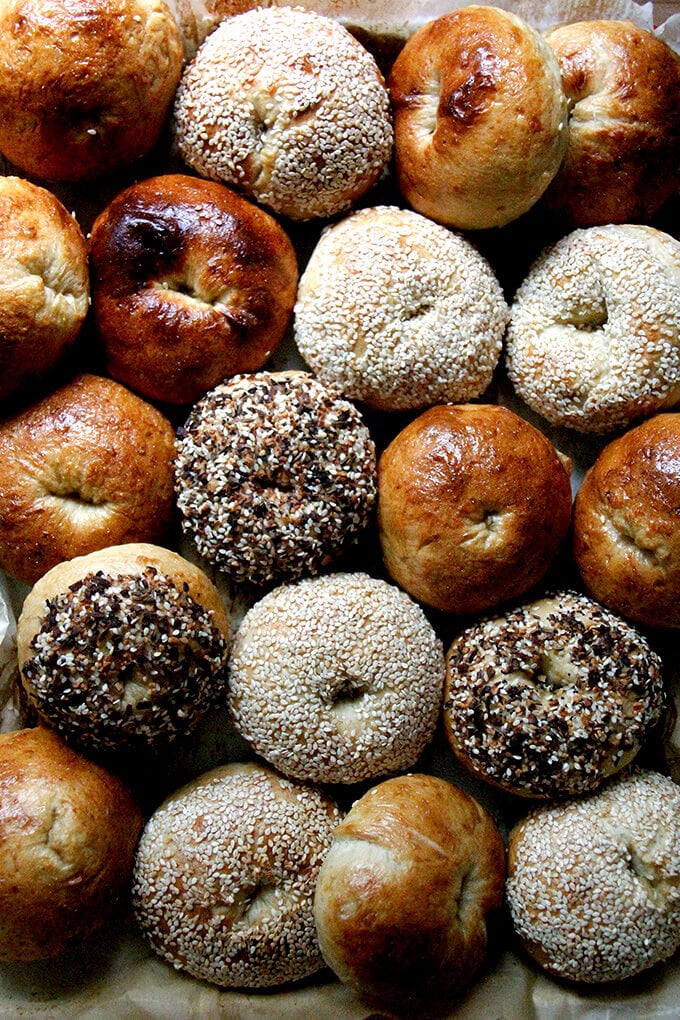 A sheet pan filled with freshly baked bagels. 