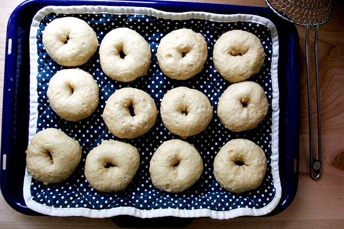 Boiled bagels on sheet pan, drying. 