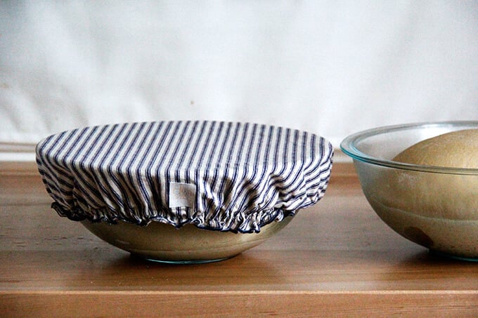 Bowls of bagel dough covered with bowl covers. 