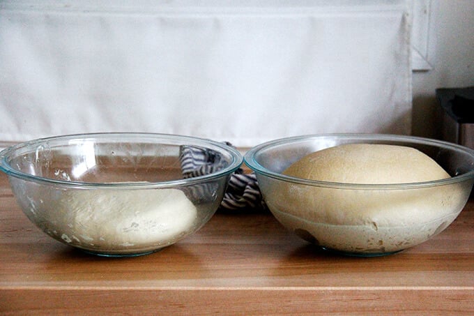 Two bowls filled with rising bagel dough. 