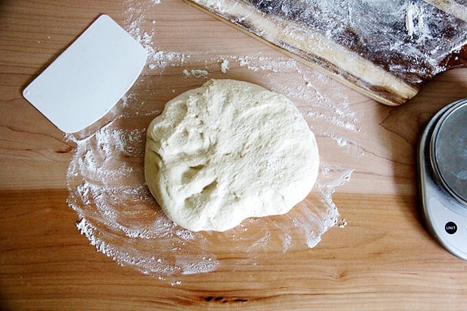 Bagel dough on counter. 