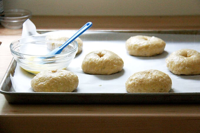 Bagels brushed with egg wash. 