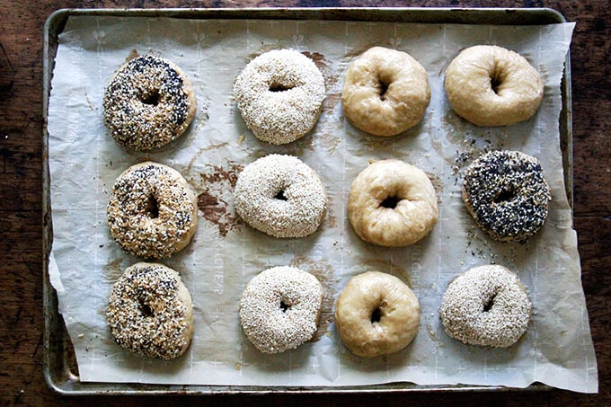 Bagels coated in seeds. 