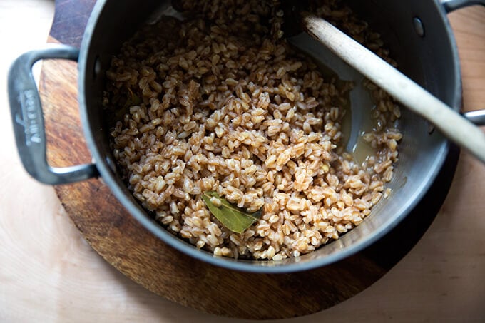 A pot of cooked farro.