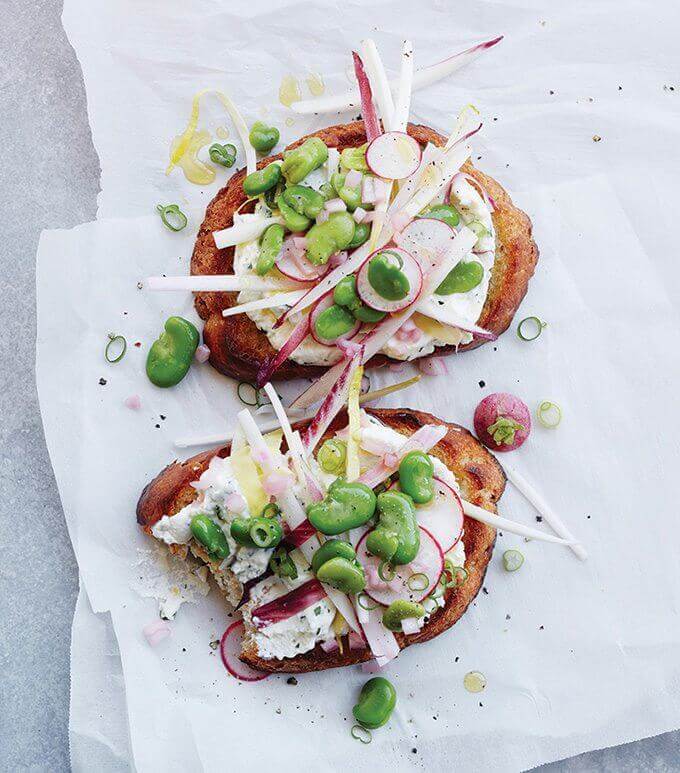 endive and fava tartines