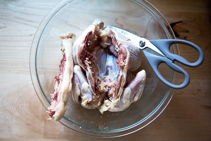 A bowl with a chicken and its backbone removed — the first step to spatchcock a chicken.