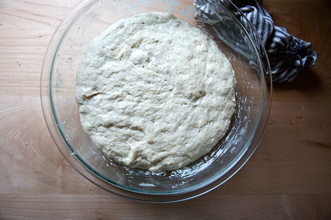 A bowl holding homemade pizza dough, doubled in volume after a 1.5 hour rise. 