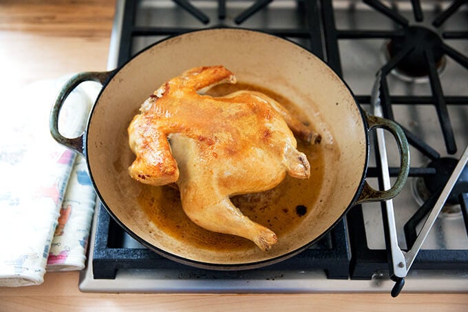 how to roast a whole chicken