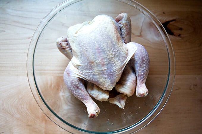 A bowl with a whole salted chicken in it, ready to be spatchcocked. 