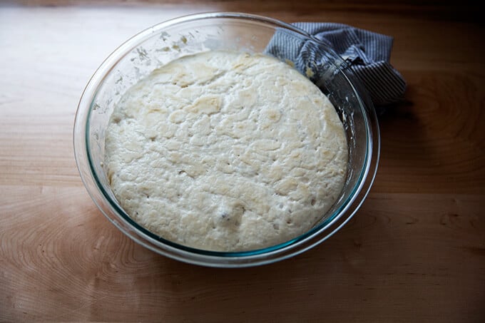 sourdough focaccia after 18 hour rise