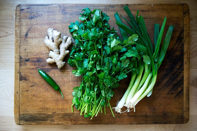 aromatics: cilantro, ginger, scallions, hot chili