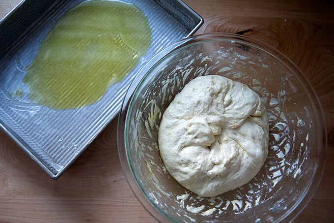 sourdough focaccia dough, punch down after 18 hours